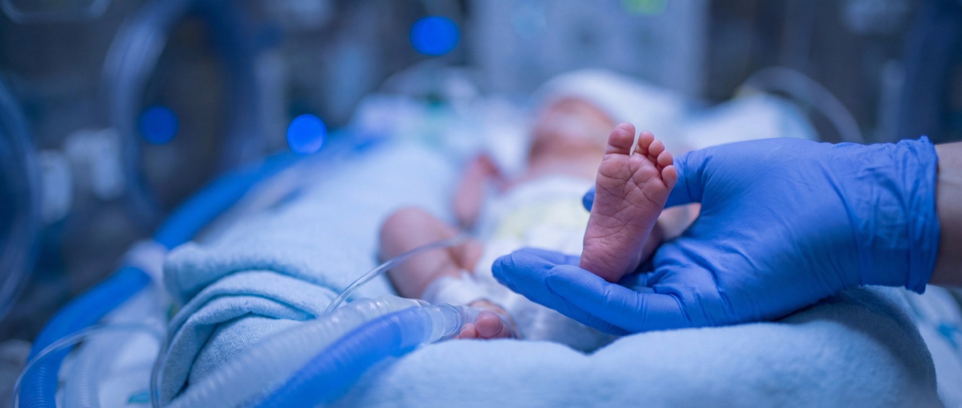 Preterm infant receiving neonatal respiratory care